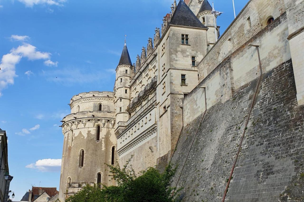 Splendid Apartment At The Foot Of The Castle Of Amboise - View Of The Loir 外观 照片