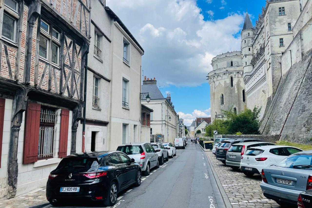 Splendid Apartment At The Foot Of The Castle Of Amboise - View Of The Loir 外观 照片